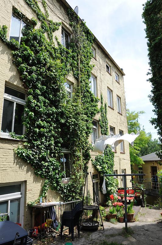  284_3931 Hausfassade mit Efeu bewachsen - Wäsche auf der Leine - Wohnhaus an der Elbtreppe. | Elbtreppe - historisches Gebaeudeensemble in Hamburg Ottensen.